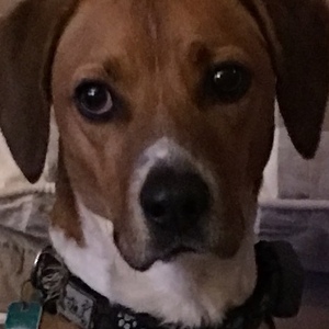 Michael & Lisa Grandchamp